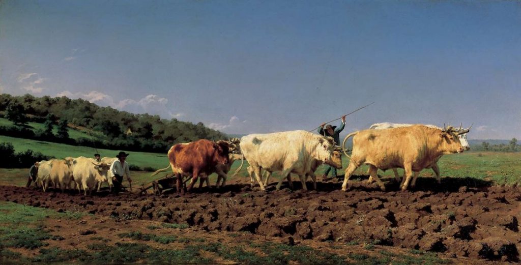 Labourage nivernais ; le sombrage. de Rosa BONHEUR (1849 ) 