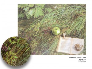 Peinture d'une pomme posée sur l'herbe