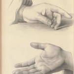 dessin d'étude d'une main posée et d'une main ouverte