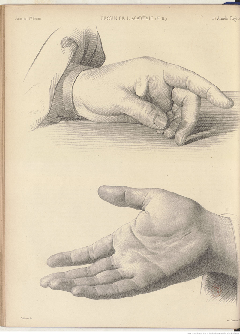 dessin d'étude d'une main posée et d'une main ouverte