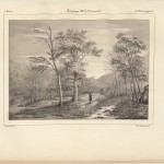 Gallica, Album, journal destiné aux artistes, arbre, paysage