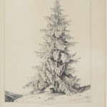 sapin, dessiner un arbre