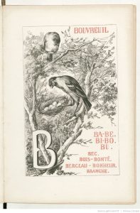 gravure oiseau