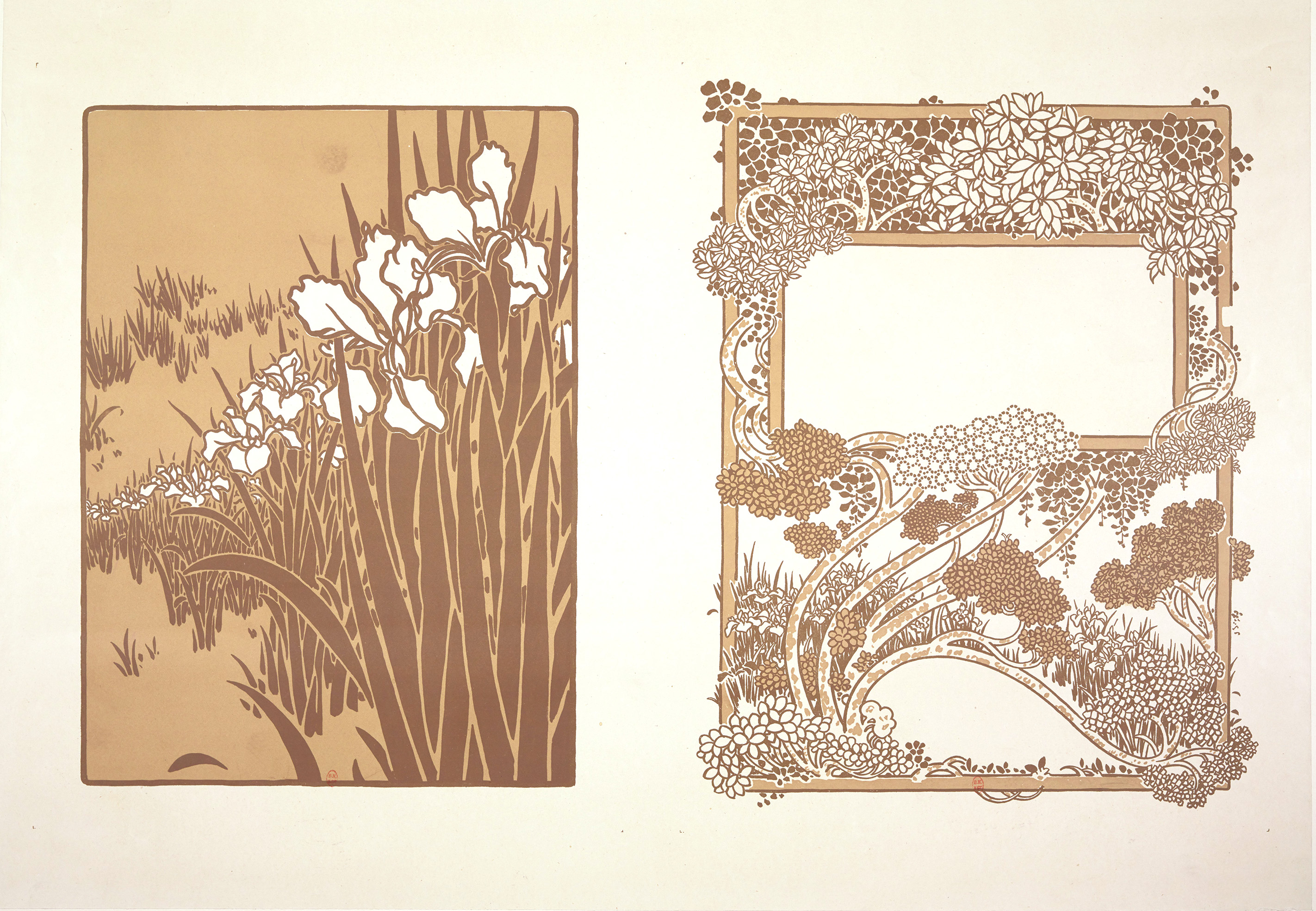estampe, decor floral, iris
