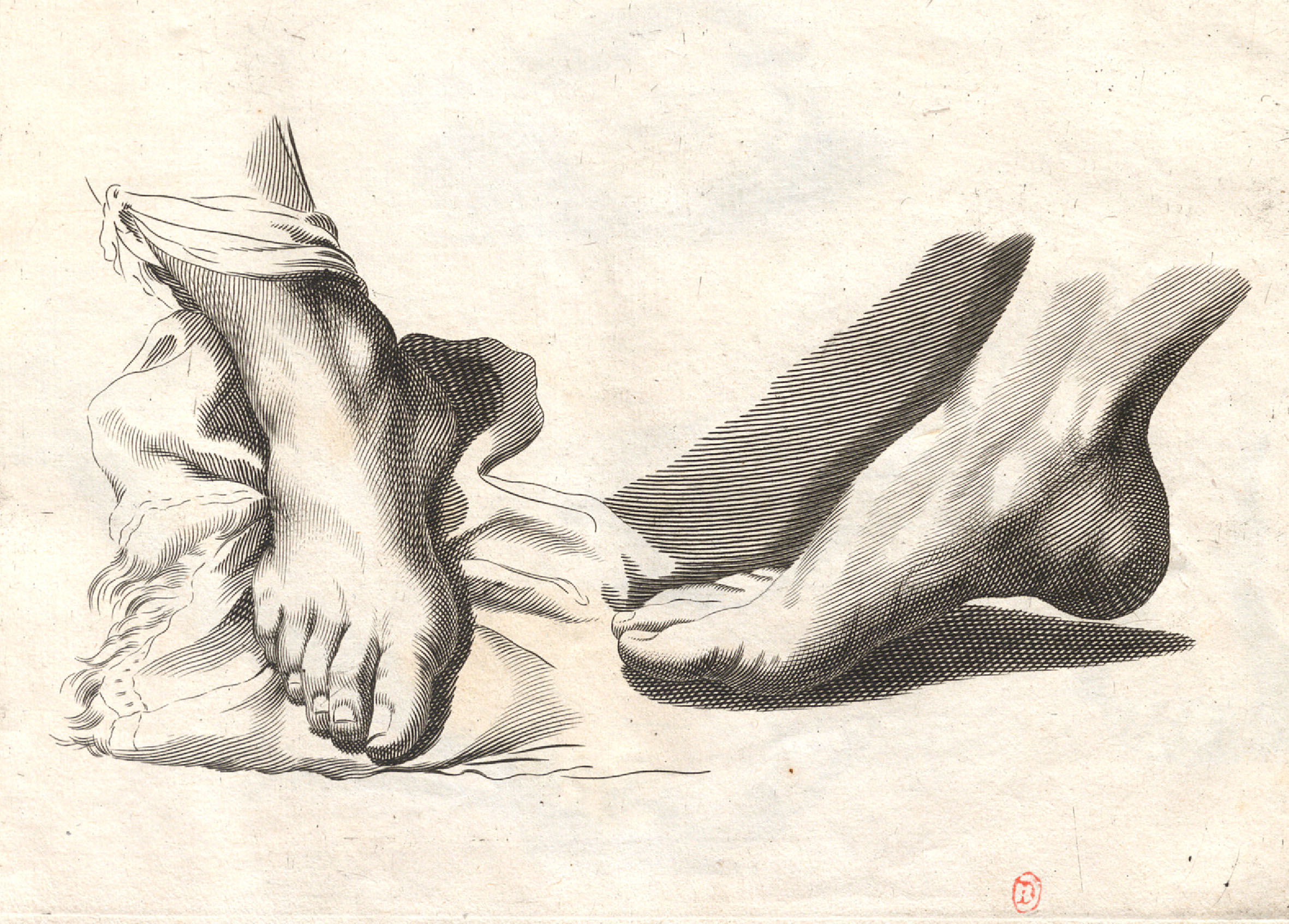 Dessiner des pieds et des mains