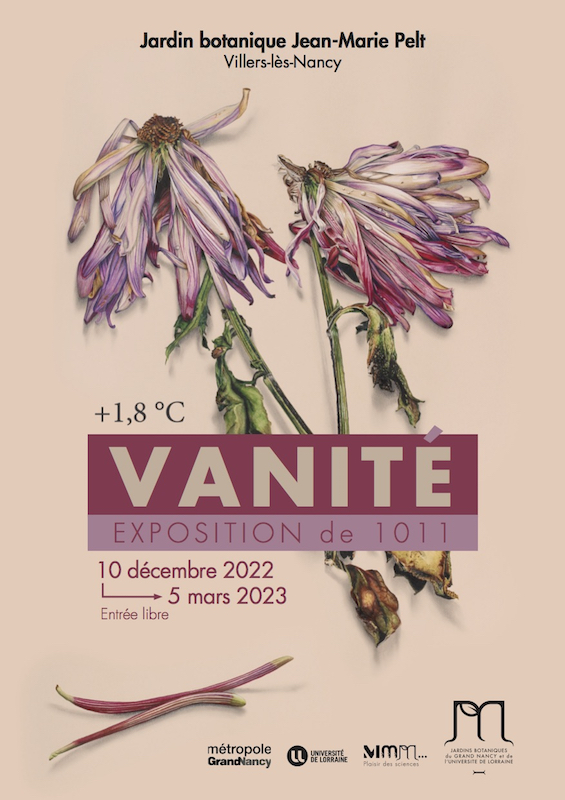 1011Affiche_Vanites-