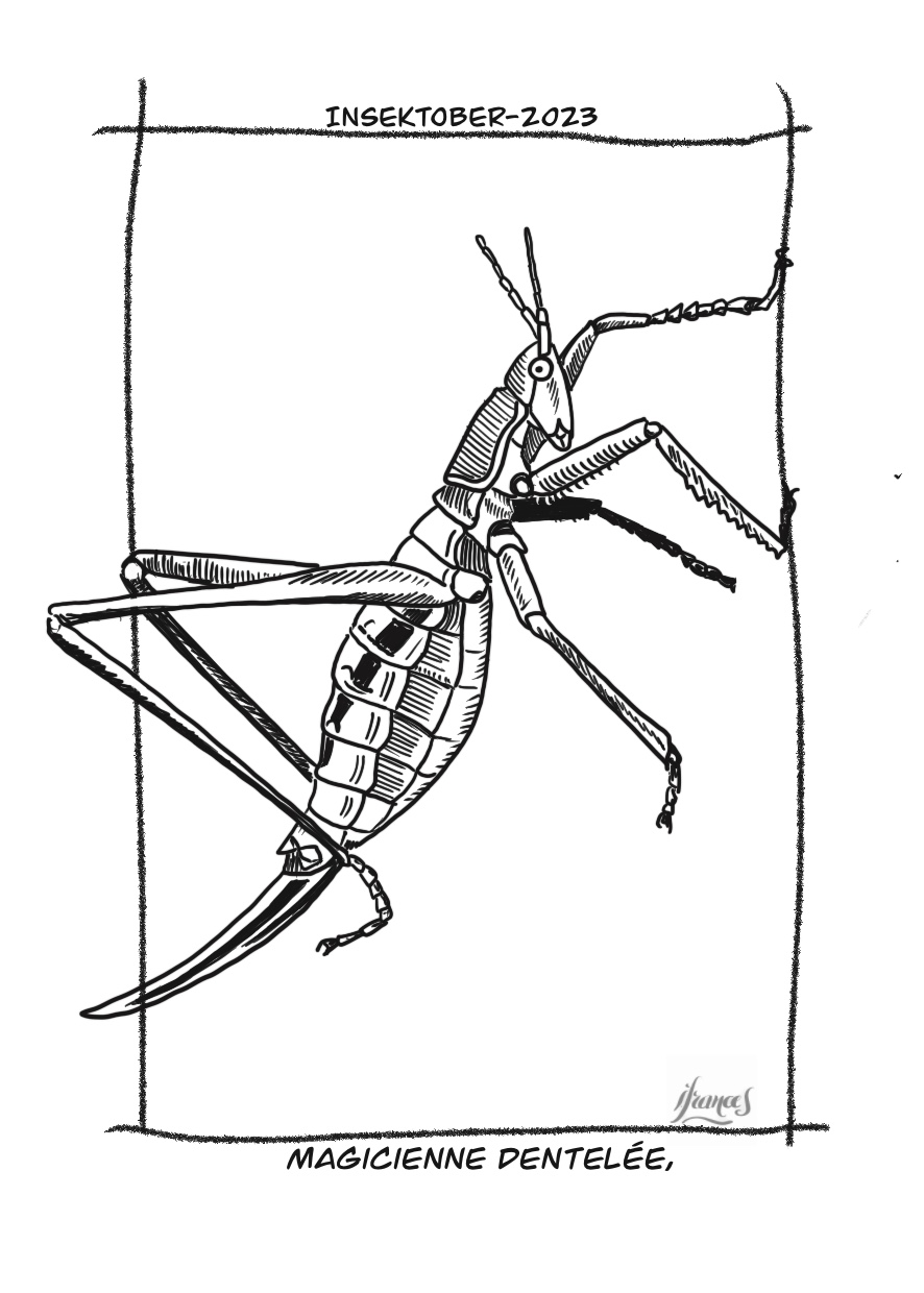 Magicienne dentelée, Saga pédo -dessin numérique Jour23
©I.Frances2023 pour le défi #INSEKTOBER