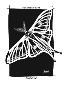 papillon vitrail dessin noir et blanc, ailes déployées, antennes en forme de plumes