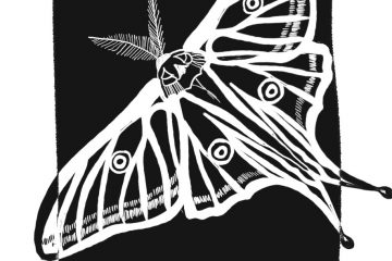 papillon vitrail dessin noir et blanc, ailes déployées, antennes en forme de plumes