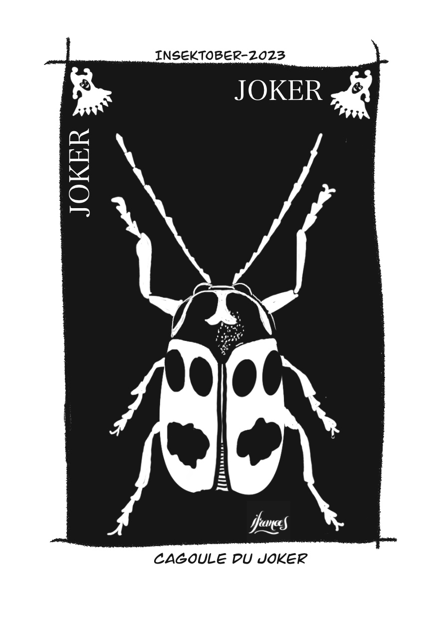 Cagoule du joker, C. sexpuntatus-dessin numérique Jour7
©I.Frances2023 pour le défi #INSEKTOBER