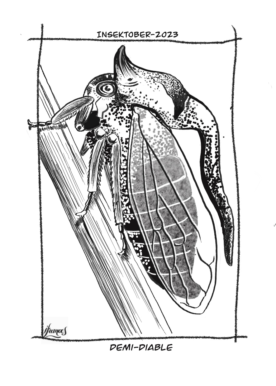 Demi-diable, Centrotus cornutus-dessin numérique Jour8
©I.Frances2023 pour le défi #INSEKTOBER