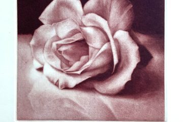 gravure d'une rose posée à plat